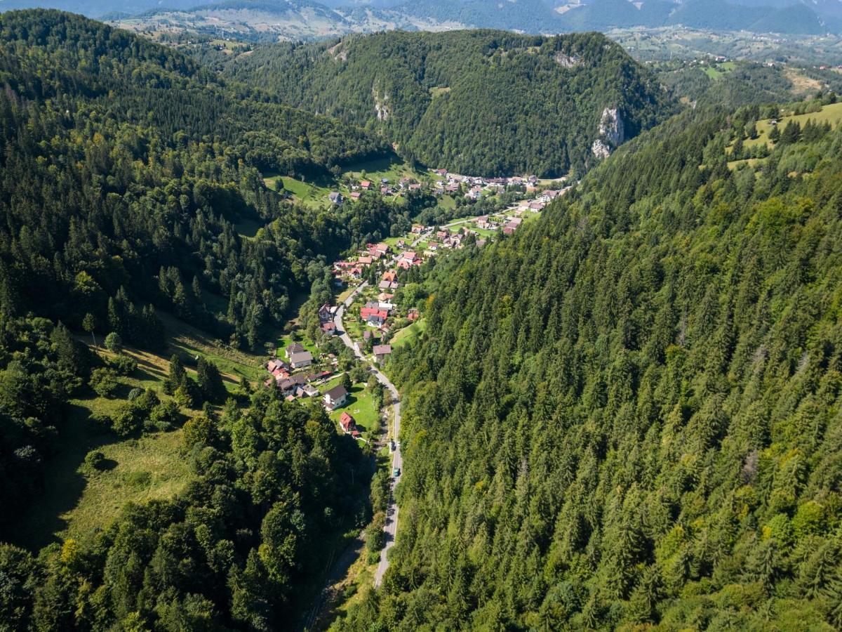 Oasis Mountain Villa Braşov Dış mekan fotoğraf