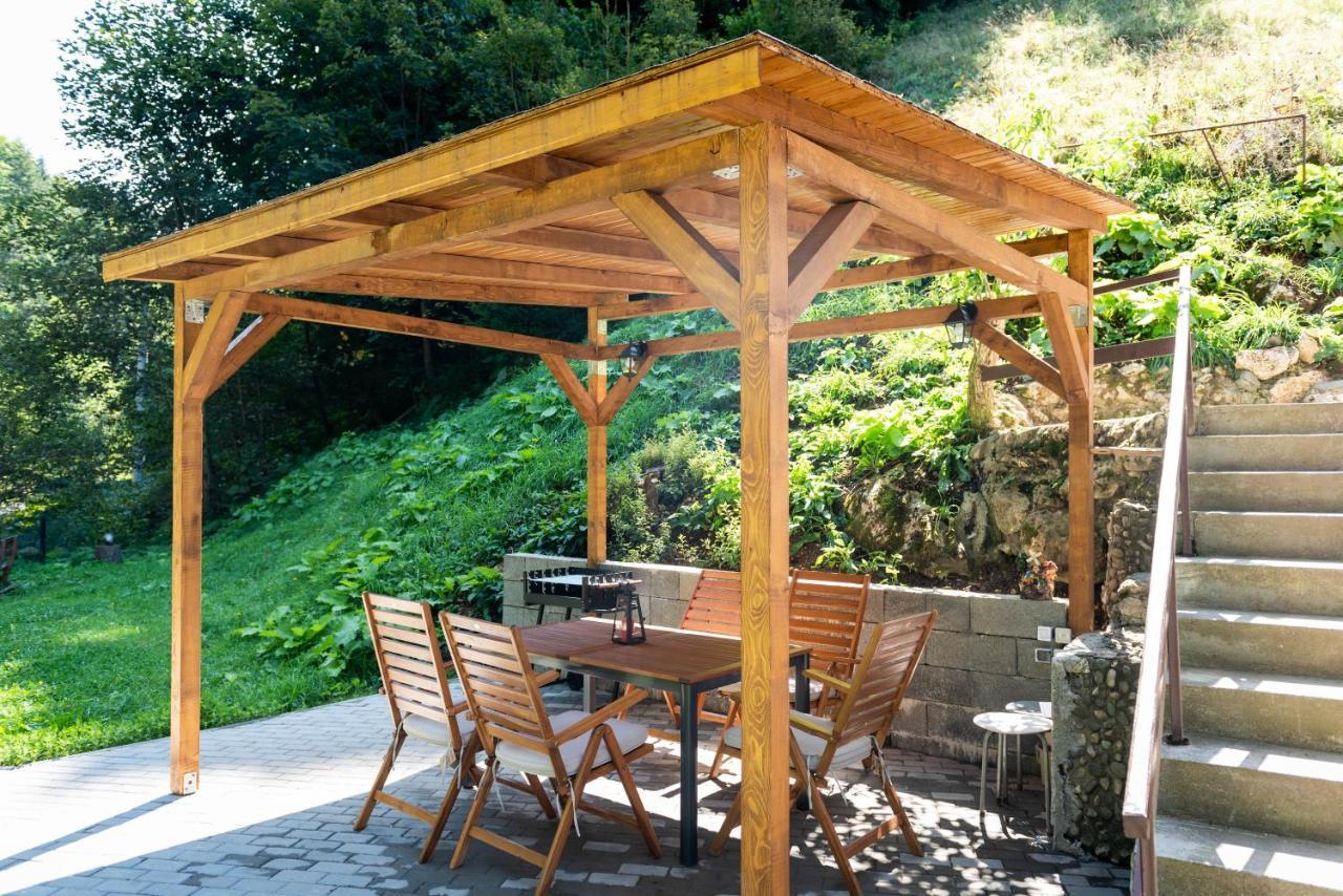 Oasis Mountain Villa Braşov Dış mekan fotoğraf