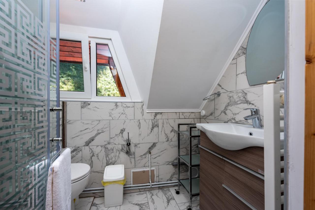 Oasis Mountain Villa Braşov Dış mekan fotoğraf