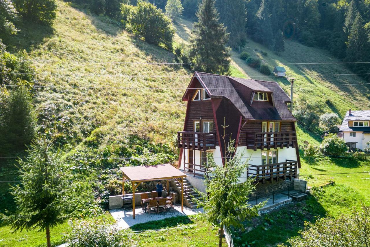 Oasis Mountain Villa Braşov Dış mekan fotoğraf